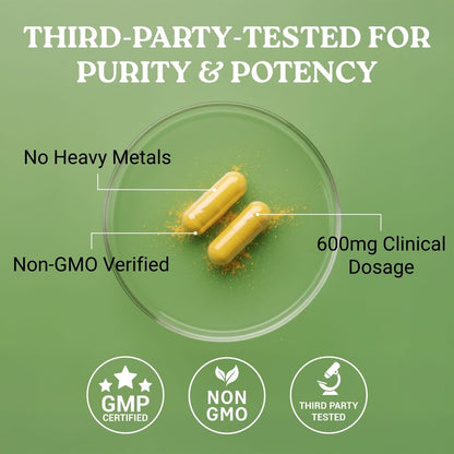 Supports Healthy Cholesterol & Blood Pressure
Natural Heart Health Supplement
Clinically Backed Cardiovascular Support
Promotes Circulatory Wellness & Vitality