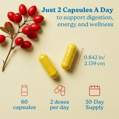 Berberine+ 7-in-1 | 1,404mg Formula with 600mg Berberine HCl with Bioperine | Superior Absorption & Gut-Friendly Metabolic Support