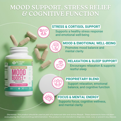 Mood Boost: 24-in-1 with Essential B-Vitamins & Zinc for Calm, Energy & Resilience