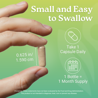 Mood Boost: 24-in-1 with Essential B-Vitamins & Zinc for Calm, Energy & Resilience