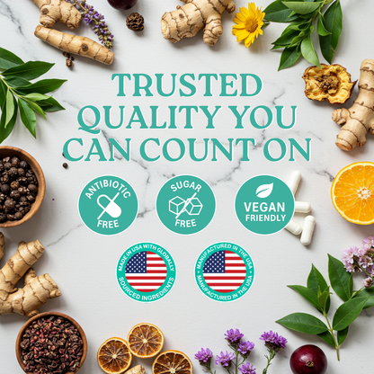 Mood Boost: 24-in-1 with Essential B-Vitamins & Zinc for Calm, Energy & Resilience