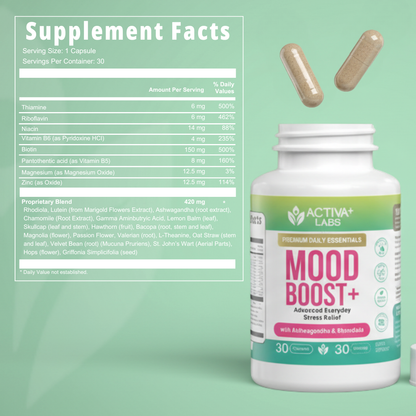 Mood Boost: 24-in-1 with Essential B-Vitamins & Zinc for Calm, Energy & Resilience